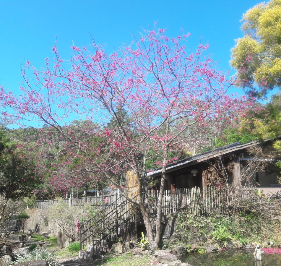 Bright Moon Homestay Dongshi  Esterno foto