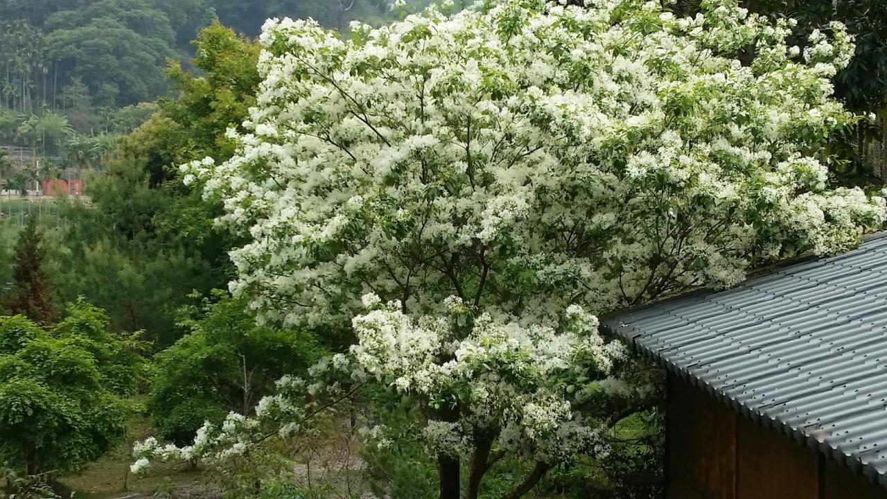 Bright Moon Homestay Dongshi  Esterno foto