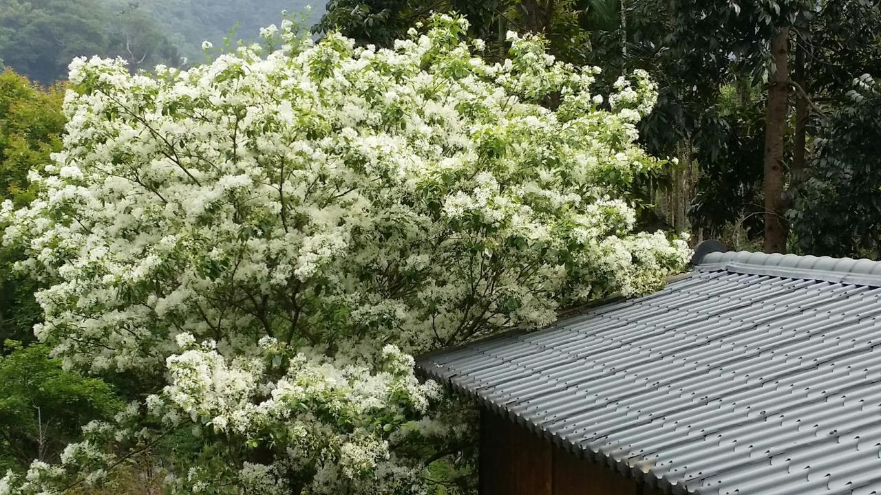Bright Moon Homestay Dongshi  Esterno foto