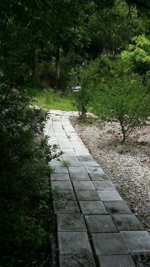 Bright Moon Homestay Dongshi  Esterno foto