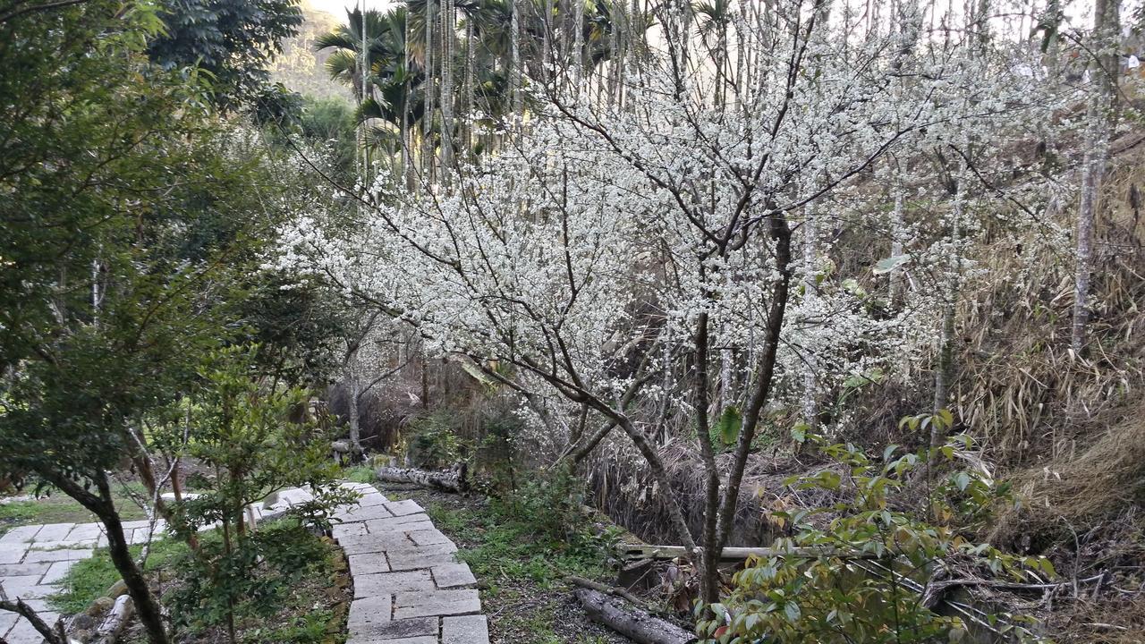 Bright Moon Homestay Dongshi  Esterno foto